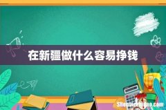 在新疆做什么容易挣钱