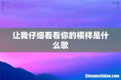 让我仔细看看你的模样是什么歌