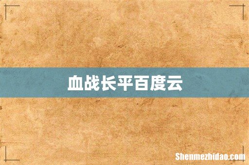 血战长平百度云