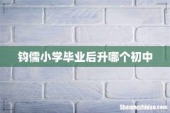 钧儒小学毕业后升哪个初中
