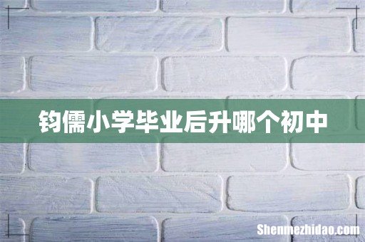 钧儒小学毕业后升哪个初中
