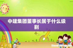 中建集团董事长属于什么级别