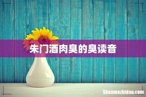 朱门酒肉臭的臭读音
