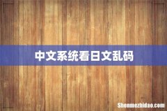 中文系统看日文乱码