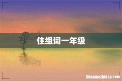 住组词一年级