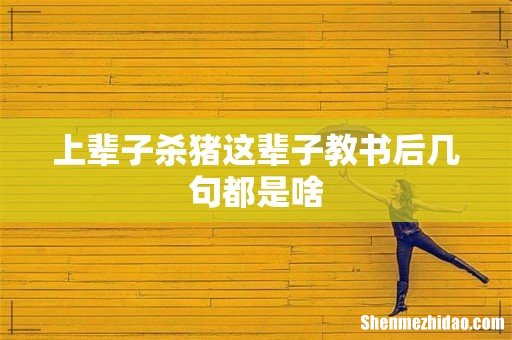 上辈子杀猪这辈子教书后几句都是啥