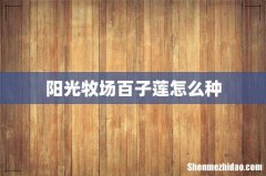 阳光牧场百子莲怎么种