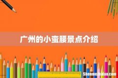 广州的小蛮腰景点介绍