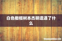 白色橄榄树本杰明遭遇了什么