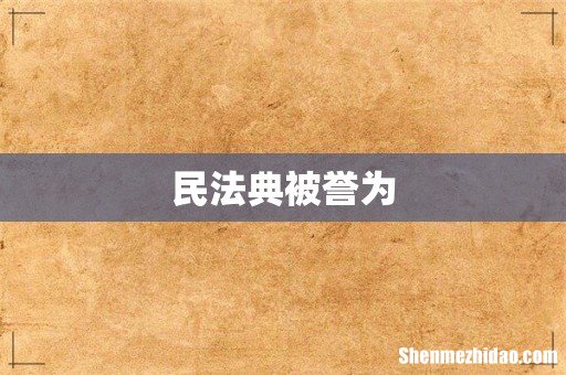 民法典被誉为