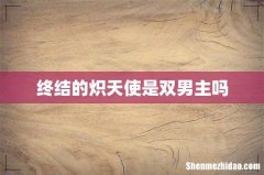 终结的炽天使是双男主吗