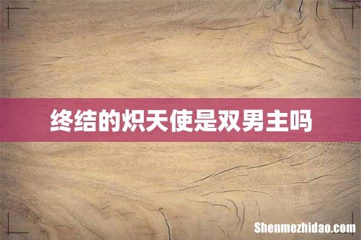 终结的炽天使是双男主吗