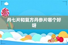 丹七片和复方丹参片哪个好呀