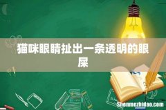 猫咪眼睛扯出一条透明的眼屎
