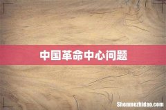 中国革命中心问题