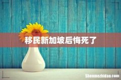 移民新加坡后悔死了