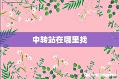 中转站在哪里找