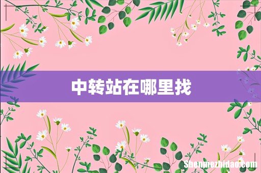 中转站在哪里找