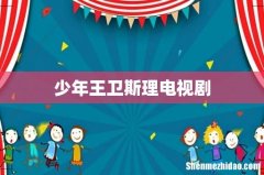 少年王卫斯理电视剧