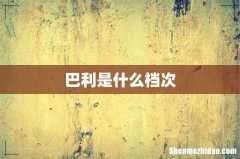 巴利是什么档次
