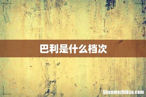 巴利是什么档次