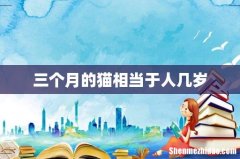 三个月的猫相当于人几岁