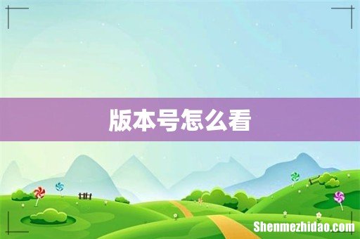 版本号怎么看