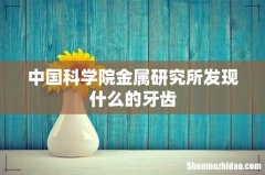 中国科学院金属研究所发现什么的牙齿