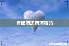 煮啤酒还有酒精吗