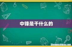 中锋是干什么的