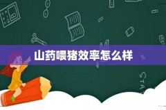 山药喂猪效率怎么样