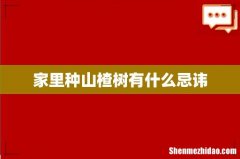 家里种山楂树有什么忌讳