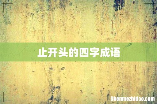 止开头的四字成语