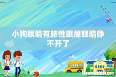 小狗眼睛有脓性眼屎眼睛睁不开了