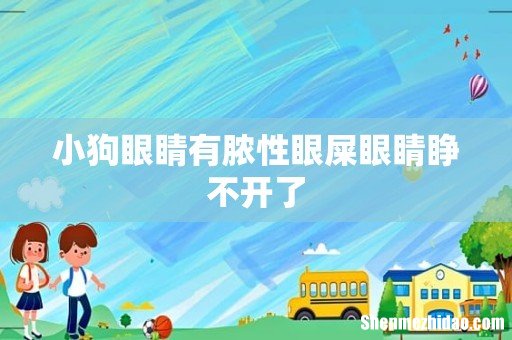 小狗眼睛有脓性眼屎眼睛睁不开了
