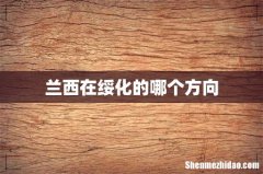 兰西在绥化的哪个方向