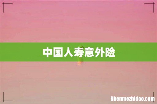 中国人寿意外险