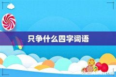 只争什么四字词语