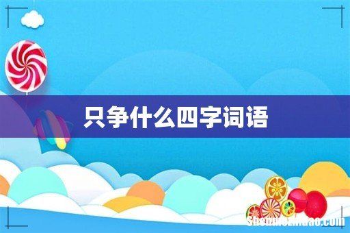 只争什么四字词语