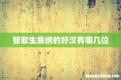 智取生辰纲的好汉有哪几位