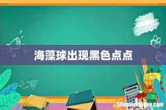 海藻球出现黑色点点