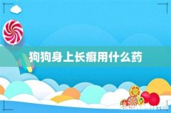 狗狗身上长癣用什么药