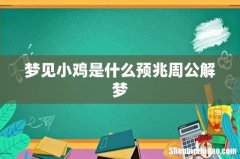 梦见小鸡是什么预兆周公解梦