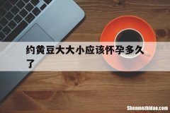 约黄豆大大小应该怀孕多久了