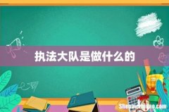 执法大队是做什么的