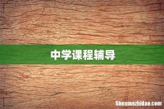中学课程辅导