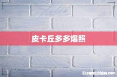 皮卡丘多多爆照