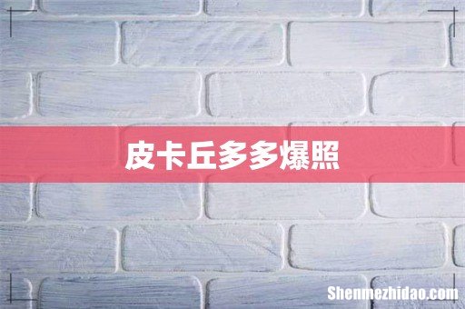皮卡丘多多爆照