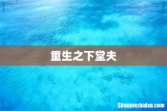 重生之下堂夫