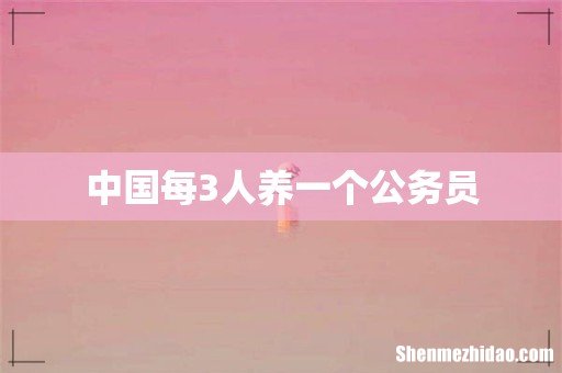 中国每3人养一个公务员